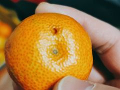 -百果园PAGODA(西四地铁站店)