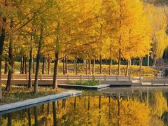 -泰州凤城河风景区-泰山公园