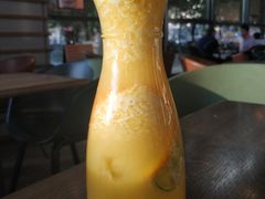 活力橙橙-Wagas沃歌斯(富力广场店)