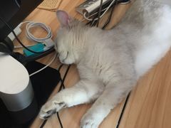 -青春加萌照相馆