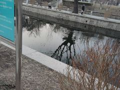 -元大都城垣遗址公园