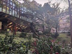 -香港大学