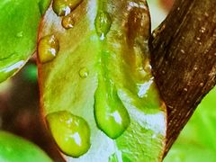 -天津东丽湖风景区