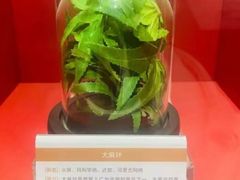 -岳阳市博物馆