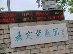 -嘉定紫藤园