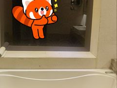 -上海闵行星河湾酒店