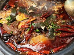 -探鱼·鲜青椒爽麻烤鱼(苏宁广场店)