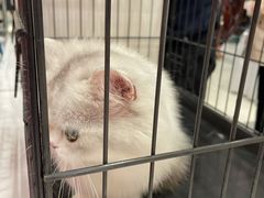 -凯德广场(武胜路店)