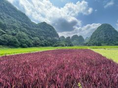 -万峰林风景区