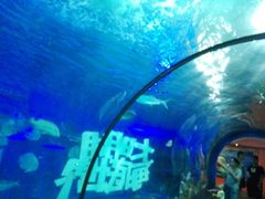 -大明湖海底世界