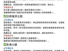 -日照灯塔风景区