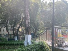 -天河儿童公园