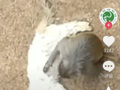 -昆明动物园