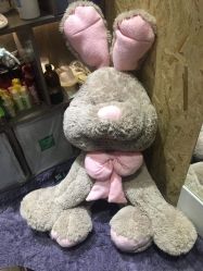 -木北护肤造型