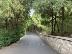 -千佛山风景名胜区