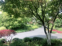 -浙江西子宾馆·瑶园咖啡厅