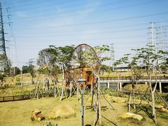 -王借岗森林公园
