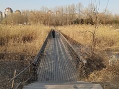 -马家湾湿地公园