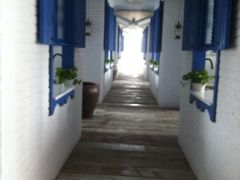 夏记海鲜-夜上海(上元大街店)