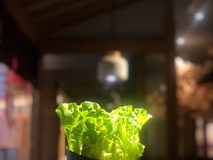 生菜-九田家黑牛烤肉料理(太阳宫广场店)