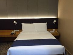 -北京民族园葉子里酒店(鸟巢店)