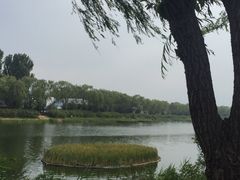 -亲兄弟真人CS团建拓展基地