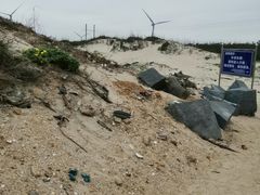 -长江澳风力发电景观区