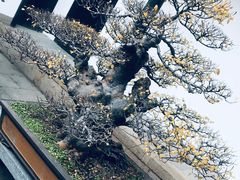 -绮园景区