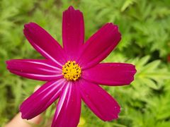 -镇江中国醋文化博物馆