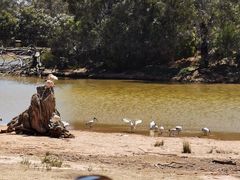 -威勒比开放式动物园