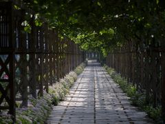 -北京张裕爱斐堡酒庄