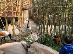 -杭州开元森泊度假乐园