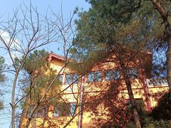 -铁山坪森林公园