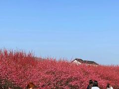 -麓舍全景太湖温泉别墅团建拓展会议亲子