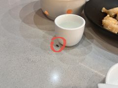-普天和酒楼(天津之眼店)