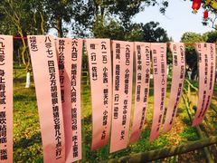 -张坝桂圆林公园