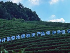 -龙坞茶村