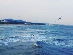 -南戴河国际娱乐中心