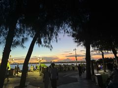 -宝安西湾红树林湿地公园