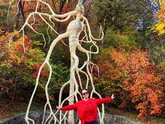 -丹东天桥沟景区