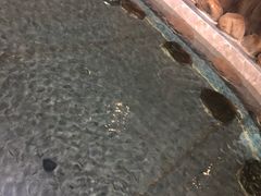 -御池园(顾村公园店)