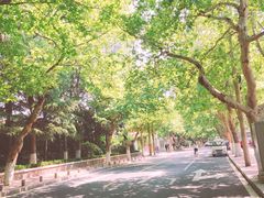 -大学路8号炸串(大学路十四号院店)