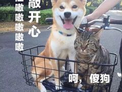 -唱吧麦颂KTV(方庄店)