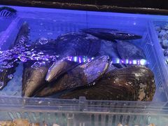 -阿伟海鲜楼·福建菜(延寿店)