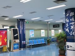 -奥体中心游泳馆