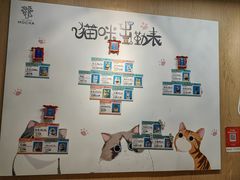 -MOCHA明星猫咖(田子坊店)