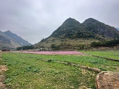 -长寿村