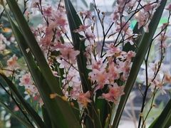 -昼夜咖啡馆