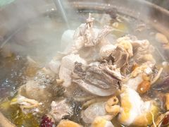 -威邵鸡煲(西华路总店)