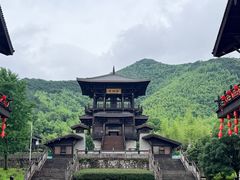 -大唐贡茶院